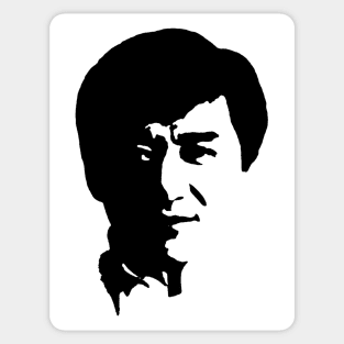 Jackie Chan (pop art) Sticker